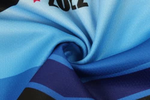A close-up of a light blue ice hockey jersey featuring dark blue and black stripes, with a logo present.