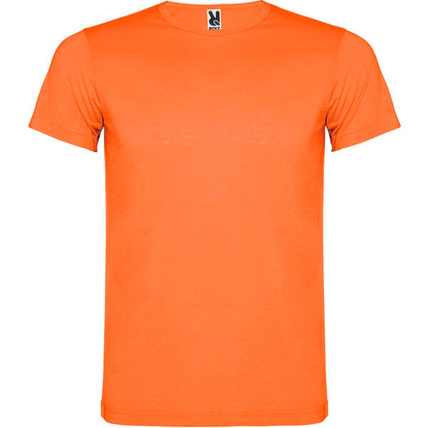 Akita T-Shirt (Youth)