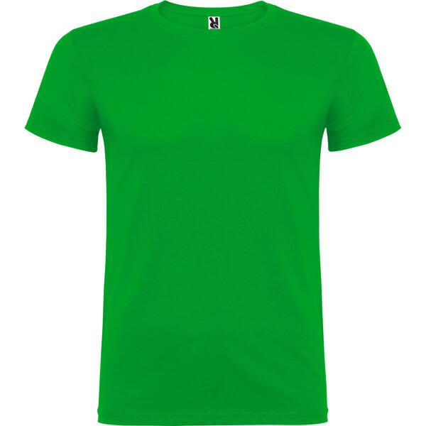 Beagle T-Shirt (Youth)