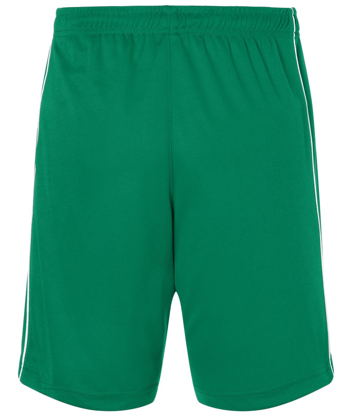 Basic Team Shorts C3-JN387