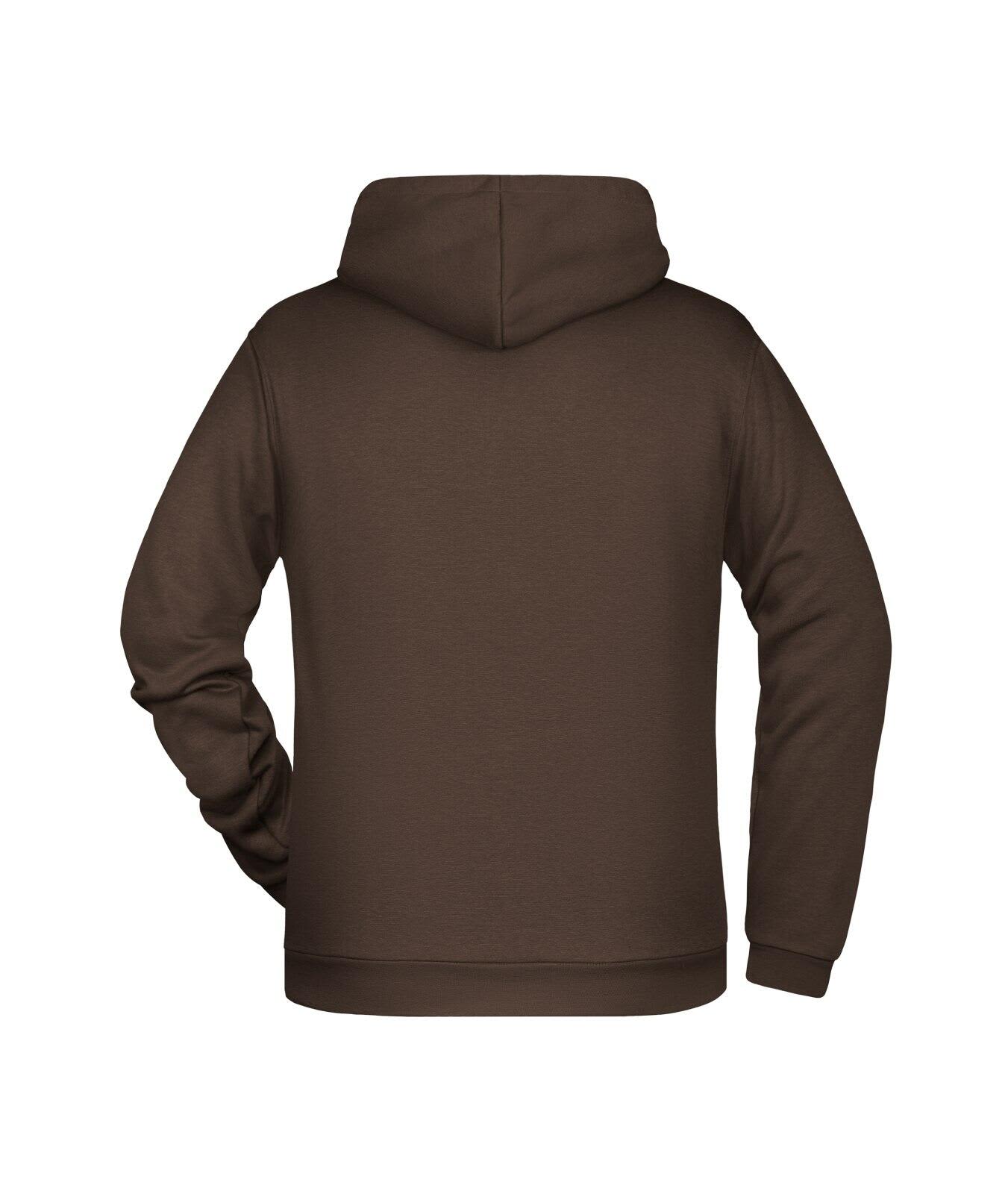 Mens Promo Hoodie C3-JN796
