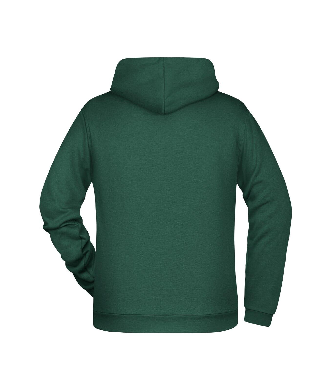 Mens Promo Hoodie C3-JN796