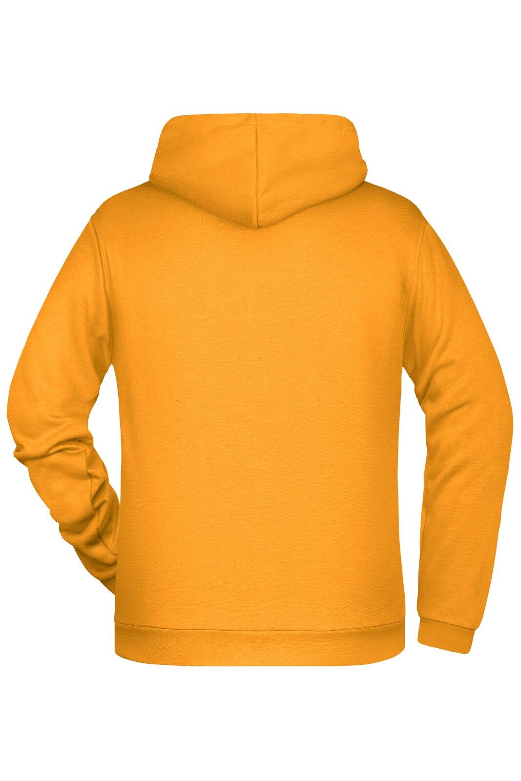 Mens Promo Hoodie C3-JN796