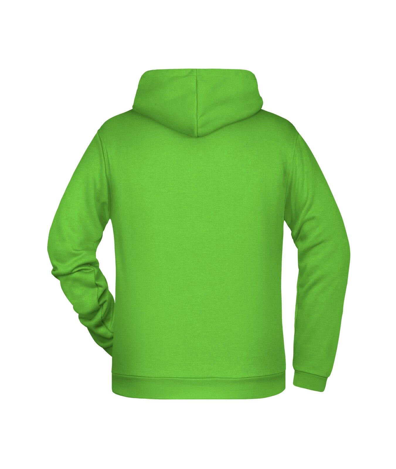 Mens Promo Hoodie C3-JN796