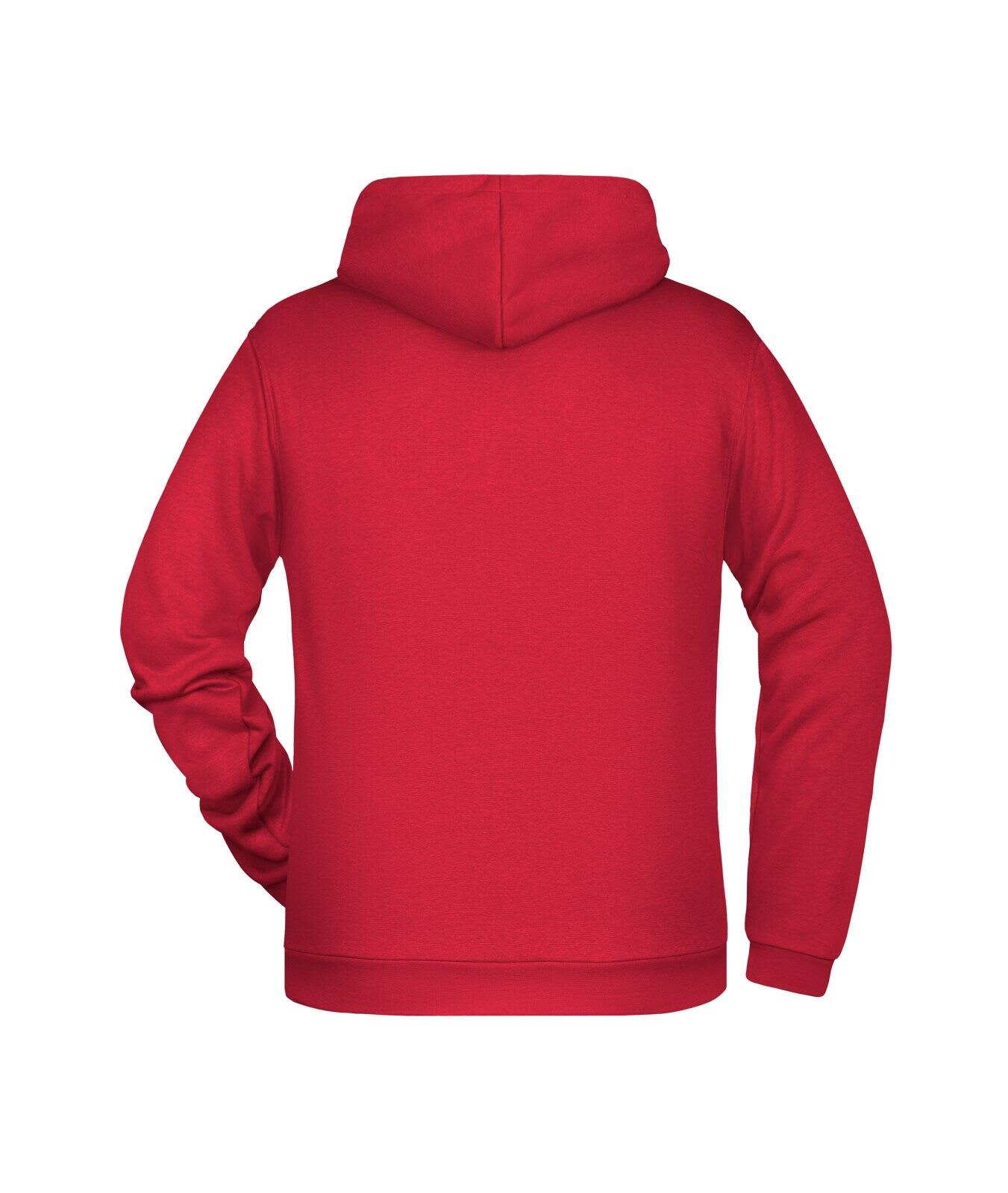 Mens Promo Hoodie C3-JN796