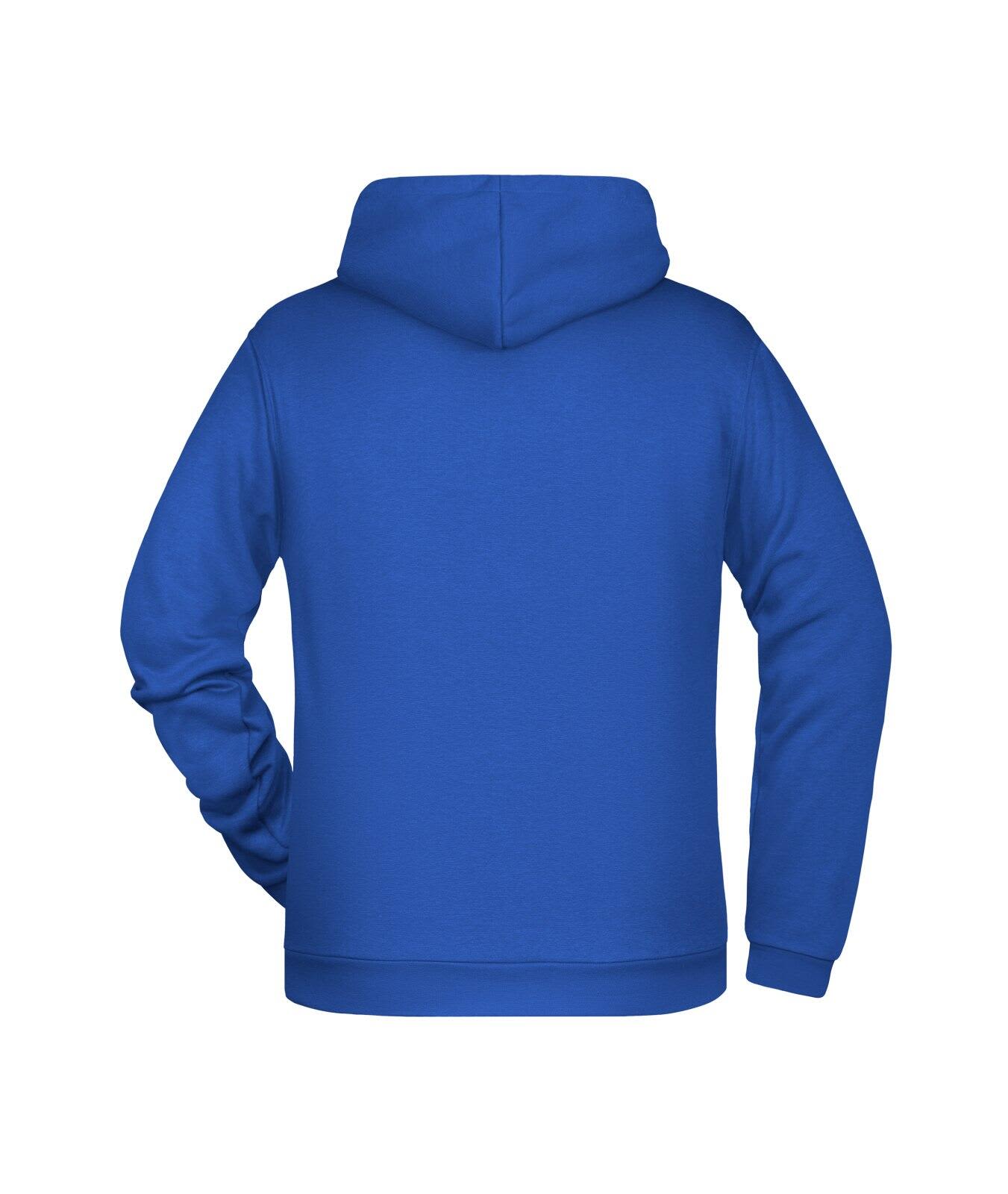 Mens Promo Hoodie C3-JN796