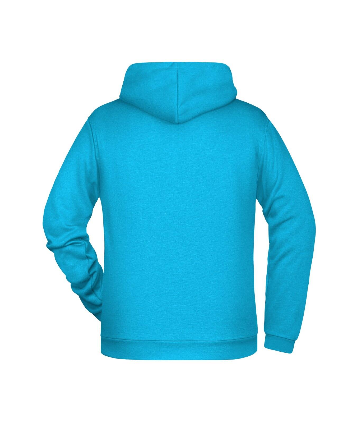 Mens Promo Hoodie C3-JN796
