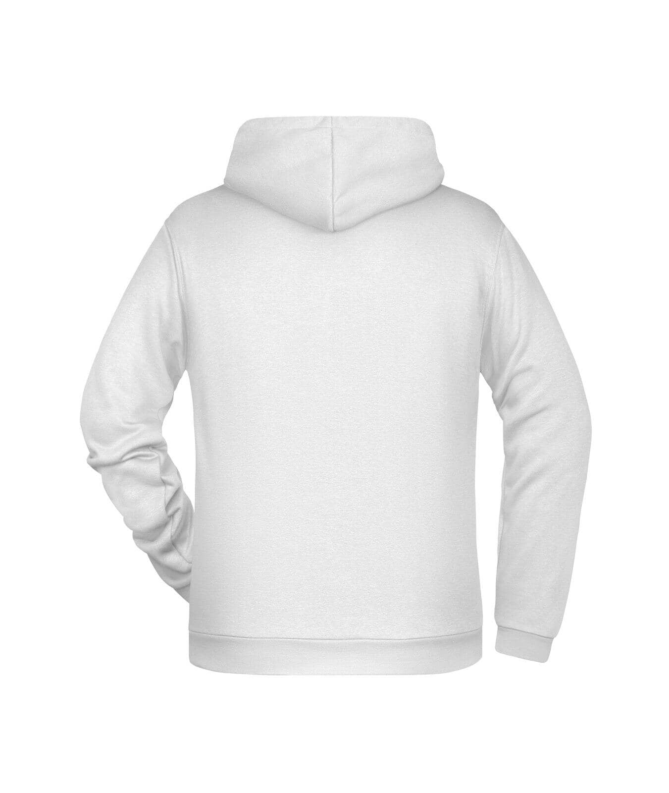 Mens Promo Hoodie C3-JN796