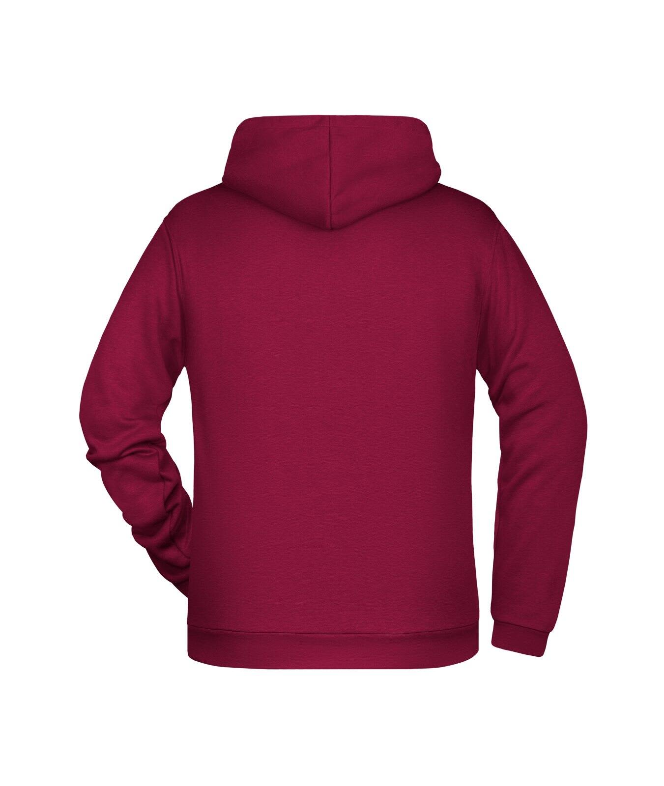 Mens Promo Hoodie C3-JN796