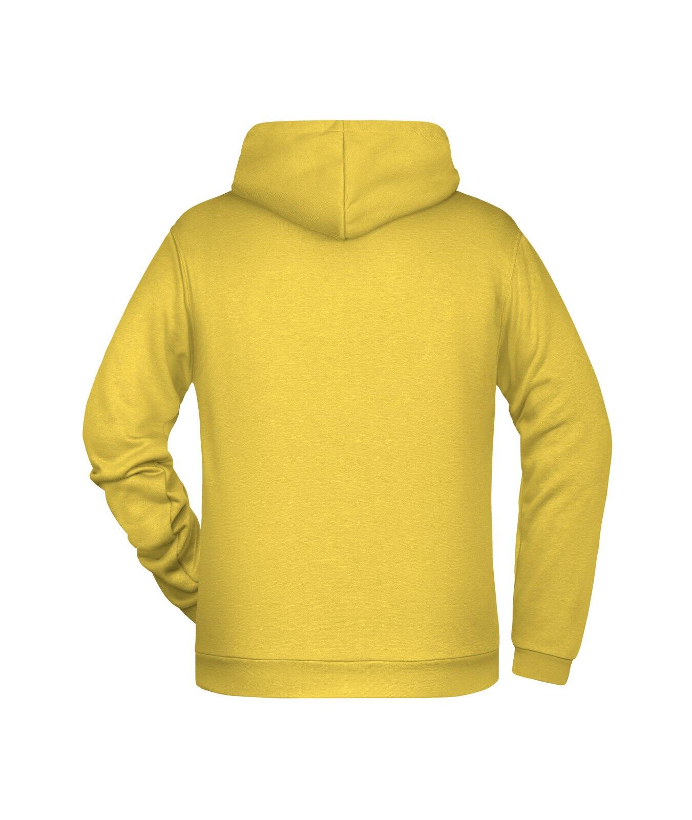 Mens Promo Hoodie C3-JN796
