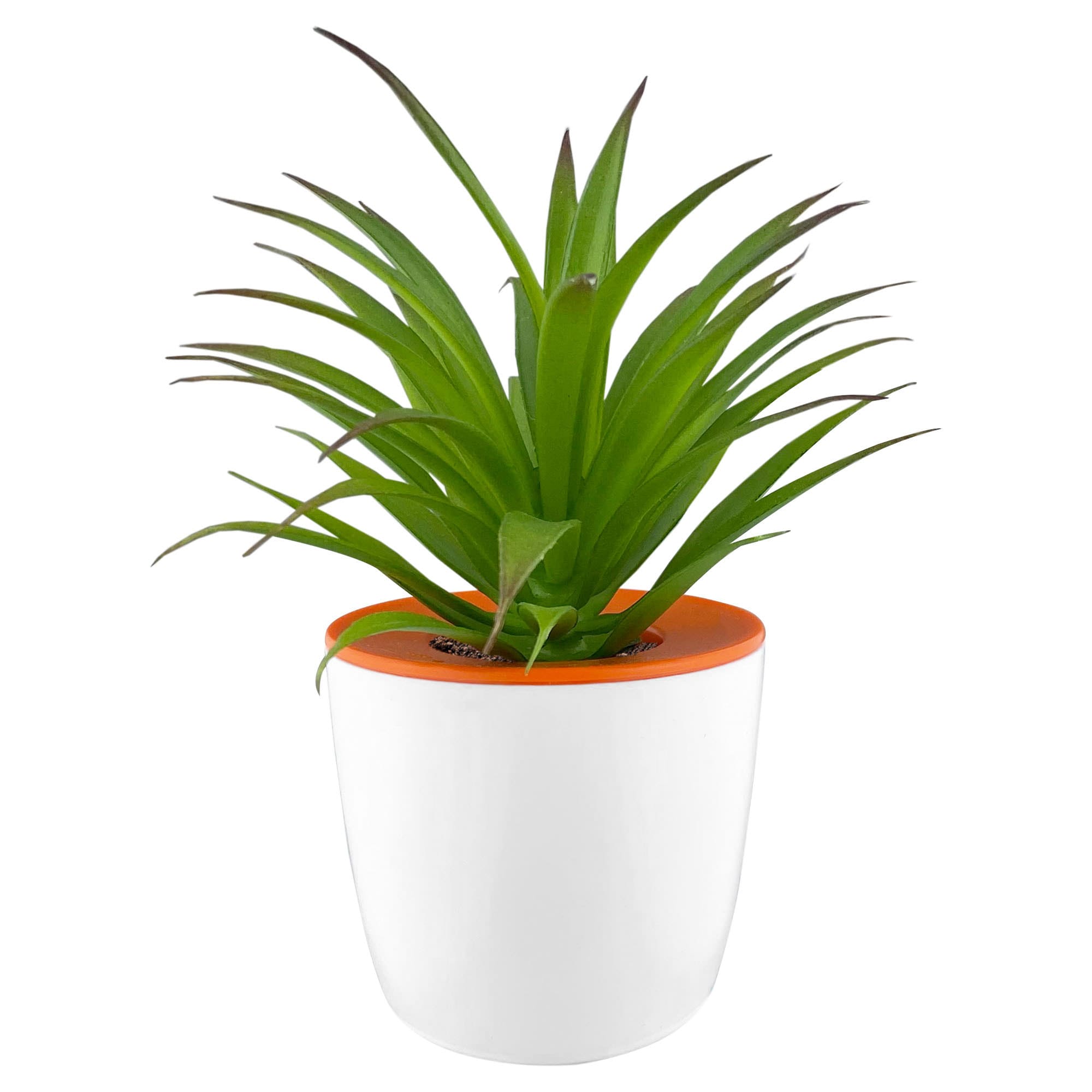 Mini Desk Plant Pot - DPP001 Image 