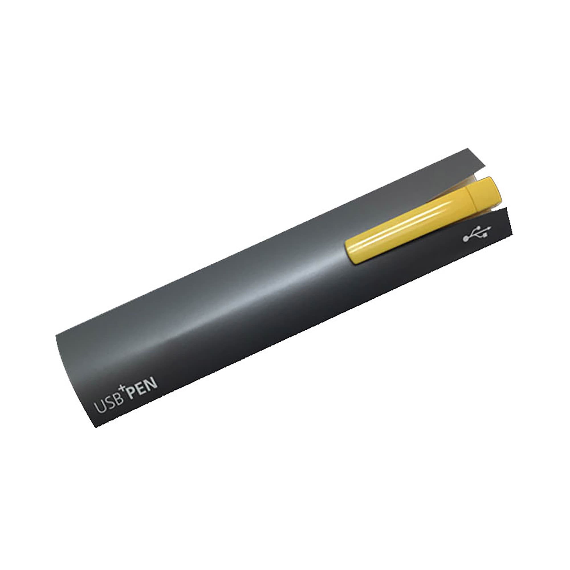USB Pen 16GB Solid Plastic - TURNUS001 Image 