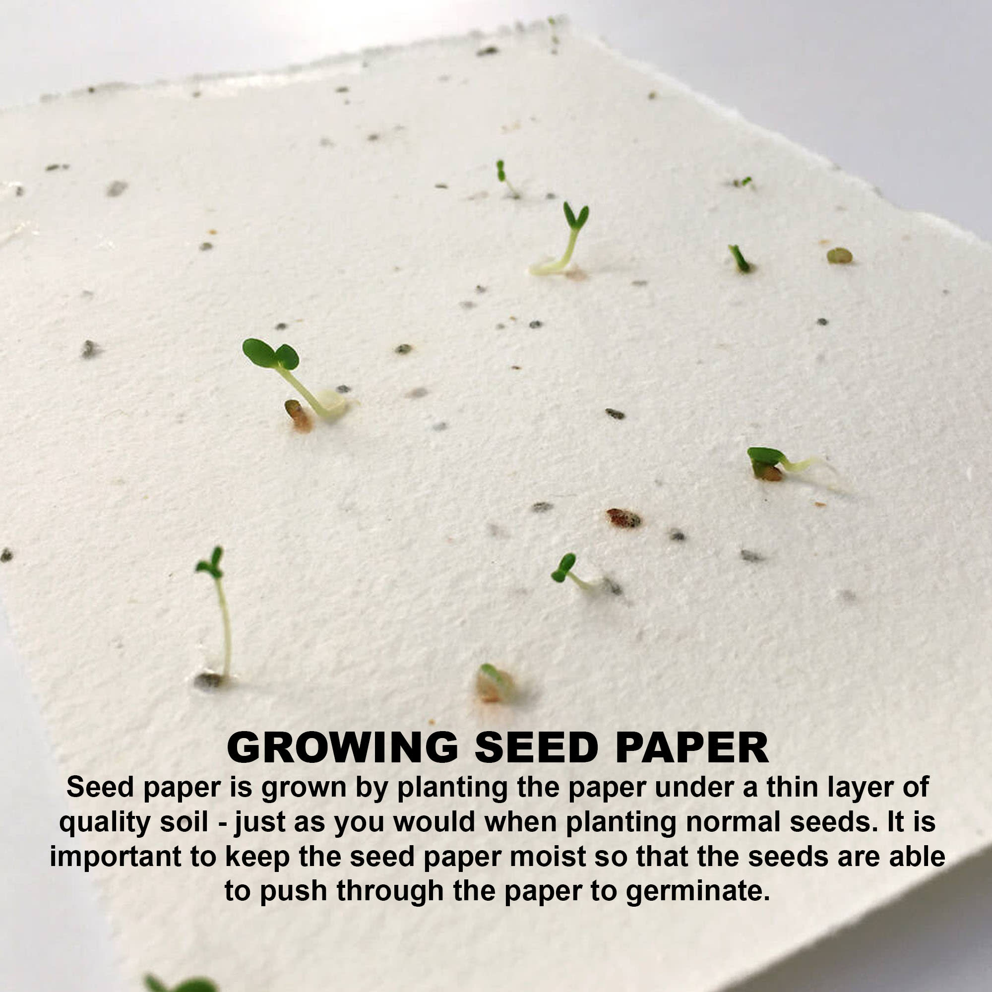Corn Poppy Seed Sticky Note Pad - image 7