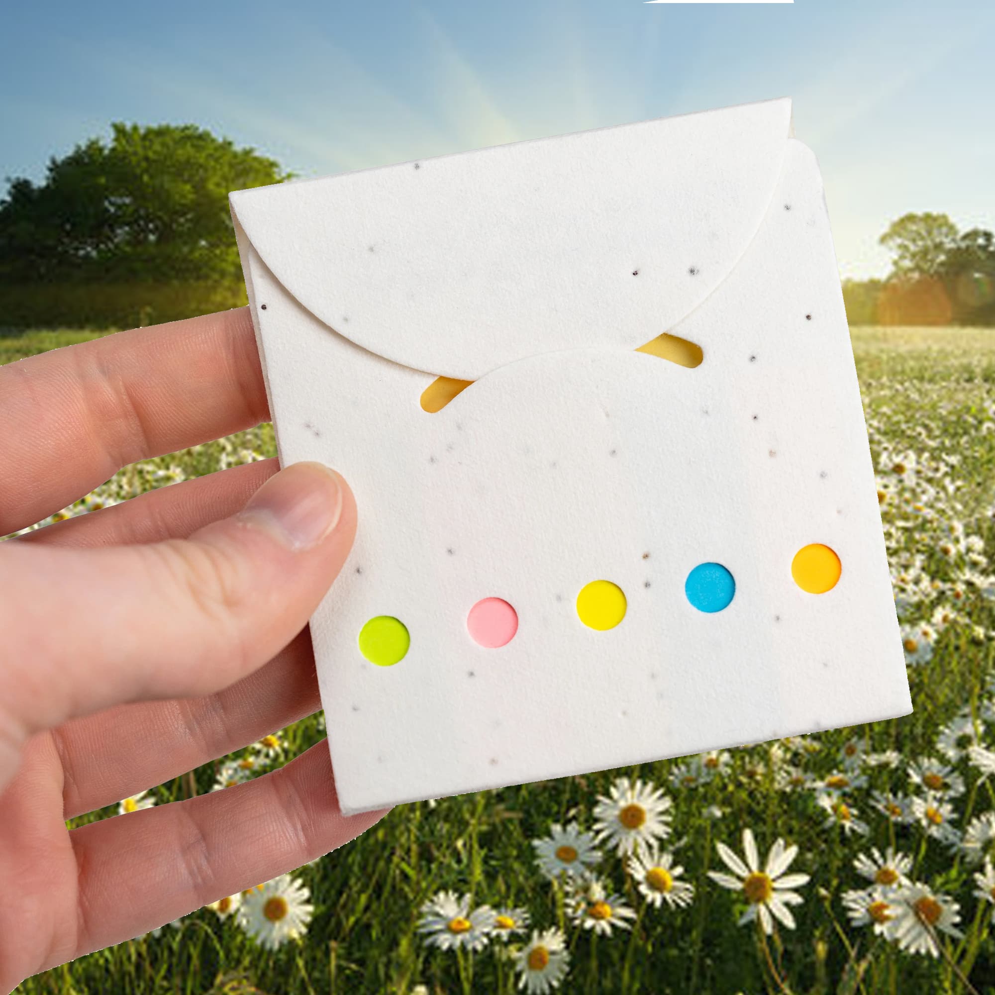 Daisy Seed Sticky Note Pad - image 1