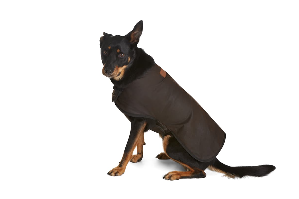 Oilskin Doggie Raincoat - XXS-XXL