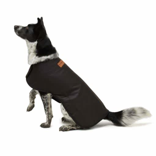 Woollen Dog Coat - XXS-XXL