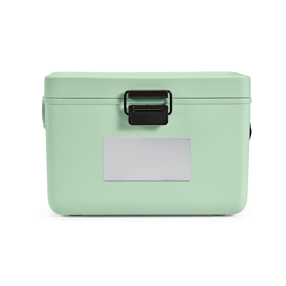 A drink bottle in pastel mint green with a black handle and a silver label area. It has a branding logo.
