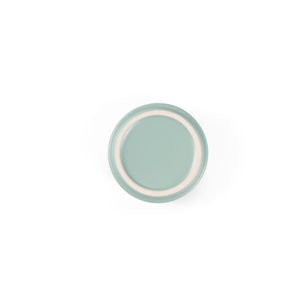 A plate with a mint green matte finish and a white rim, featuring a smooth circular surface.