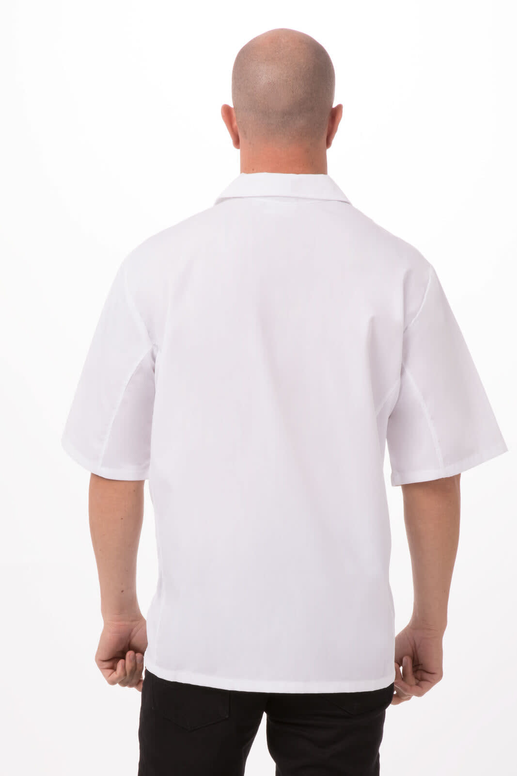 A white men's cook shirt with short sleeves, shown from the back, featuring a logo.