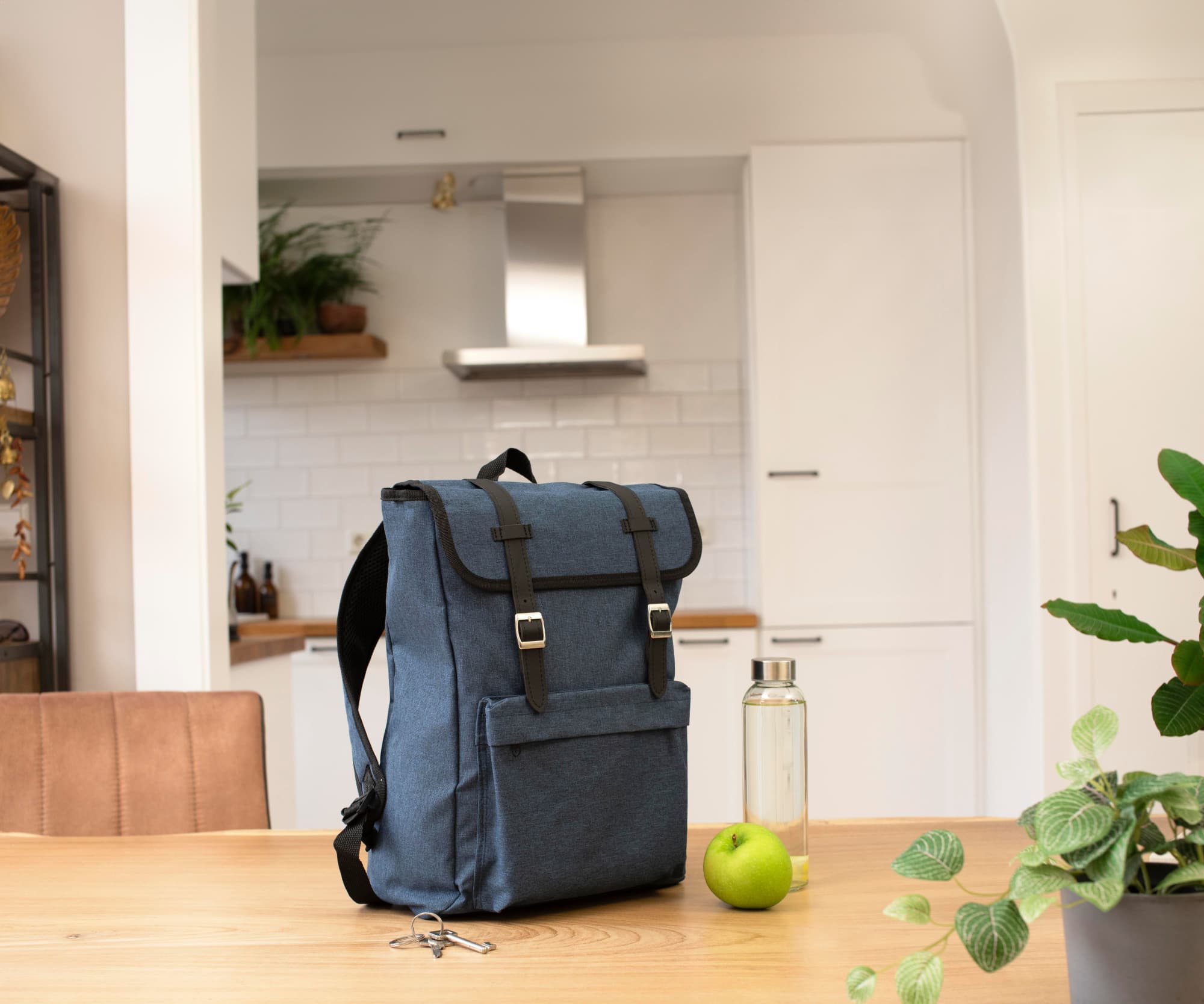 Polyester (210D) backpack