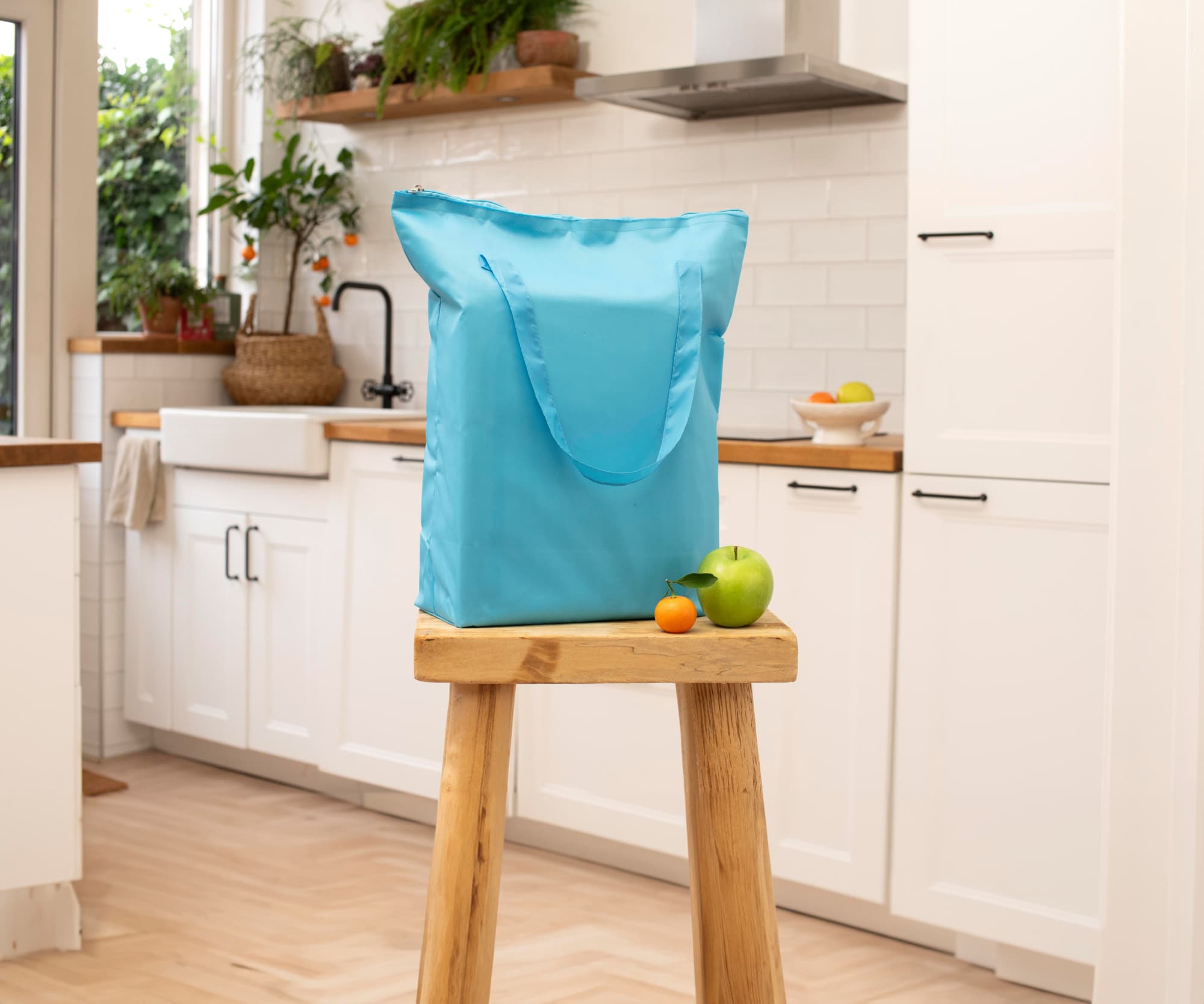 Polyester (210T) cooler bag