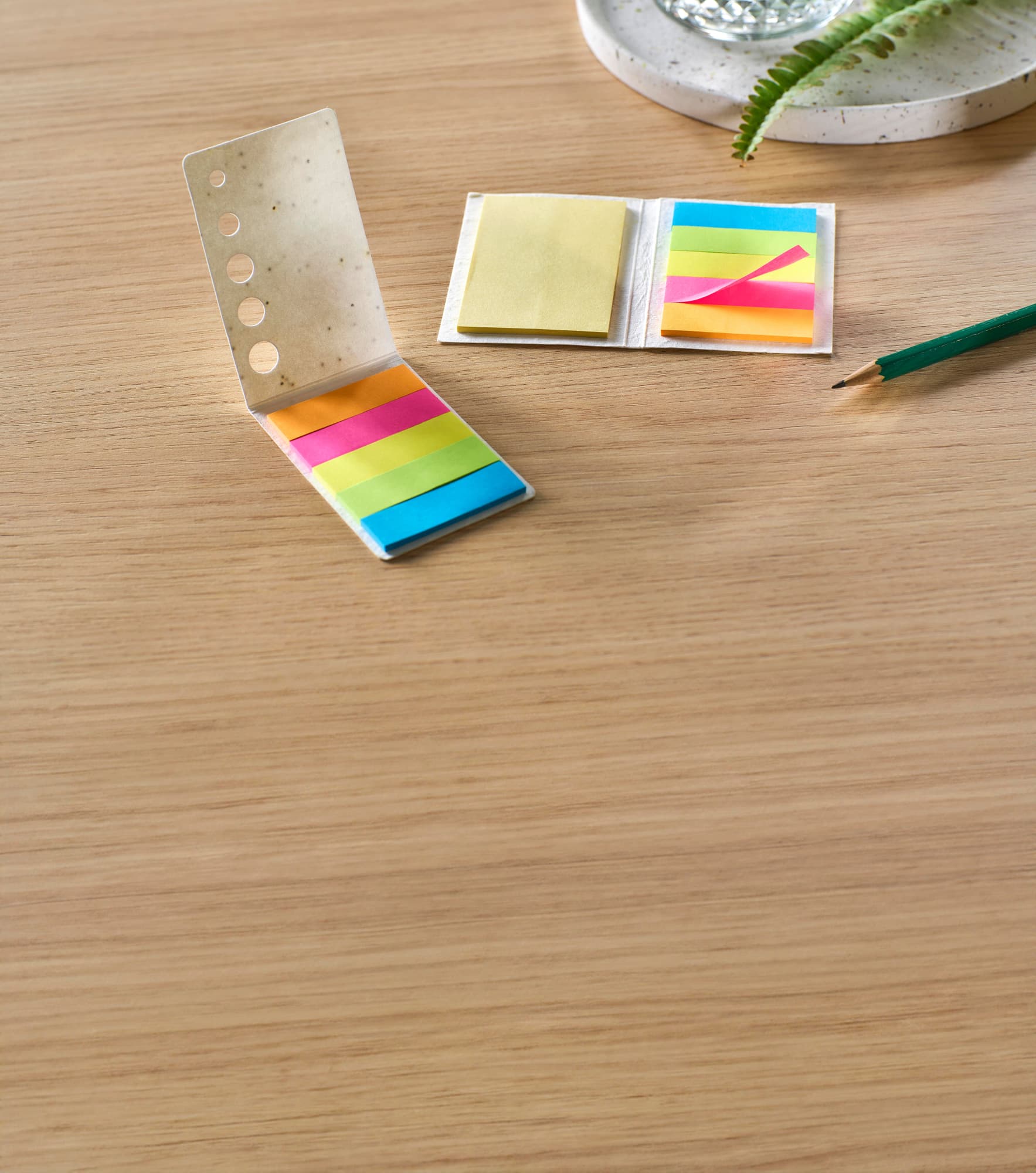Paper sticky notes seed paper Patricia