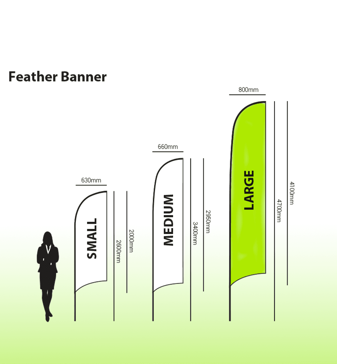 A promotional feather banner in green and black, showcasing sizes small, medium, and large with measurements.