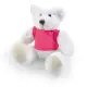 Frosty Plush Teddy Bear