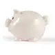 World's Smallest Pig Eco Coin Bank