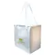 Tundra Cooler / Shopping Bag