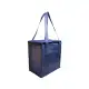 Tundra Cooler / Shopping Bag