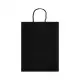 Express Paper Bag Large