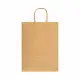 Express Paper Bag Large