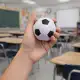 Soccer Ball Stress Reliever