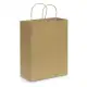Paper Carry Bag - Large