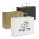 Paper Carry Bag - Extra Large
