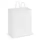 Laminated Carry Bag - Medium