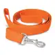 Trek Dog Leash