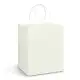 Medium Paper Carry Bag - Full Colour