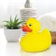 Rubber Duck