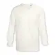 TRENDSWEAR Harlow Men's Long Sleeve Crew