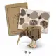 BRANDCRAFT Kiwi Wooden Model