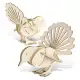 BRANDCRAFT Fantail Wooden Model