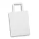 Medium Flat Handle Paper Bag Portrait