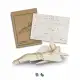 BRANDCRAFT Jet Fighter Wooden Model