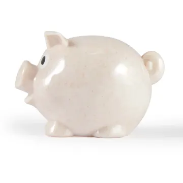 World's Smallest Pig Eco Coin Bank - image 6