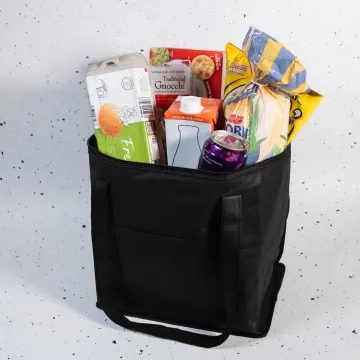 Tundra Cooler / Shopping Bag - image 2