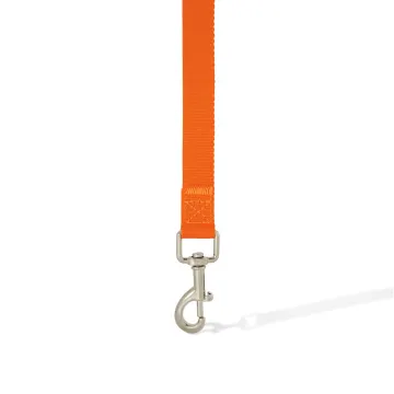 Printed Dog Lead - image 5