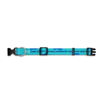 Sublimated Dog Collar - image 4