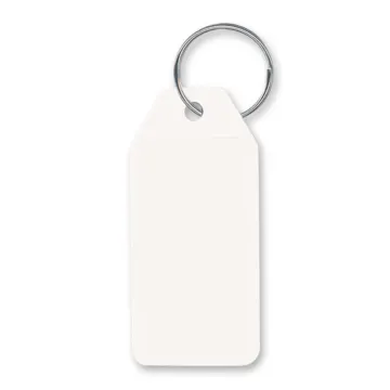 Budget Key Ring - image 2